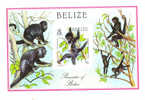 Belize 1987 Indigenous Primates Black Spider Monkey S/S MNH - Belize (1973-...)