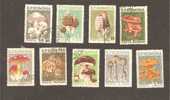 Roumanie De 9 Timbres Champignons - Used Stamps