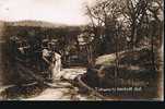 CPA.   Entrance To WHITELIFF HILL.        1919. - Shropshire