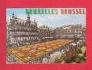 Bruxelles (BE81)  Grand´Place, Tapis De Fleurs  - - Corsi