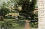 SOMERSET - SELWORTHY - THE GREEN 1904  Som137 - Sonstige & Ohne Zuordnung
