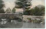 SOMERSET - DUNSTER BRIDGE 1908  Som138 - Andere & Zonder Classificatie