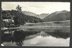 A1525 Lac Des Joncs - Chatel St. Denis  / Viaggiata 1955 - Châtel-Saint-Denis