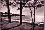 44 - Saint-Brévin L'Océan - Contre-jour Sur La Plage Du Pointeau - Saint-Brevin-l'Océan