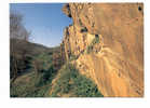 Portugal Cor 5536 – FOZ CÔA GRAVURAS RUPESTRES - ROCK ENGRAVINGS - SITIO DA RIBEIRA DOS PICOS - Guarda