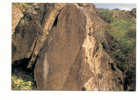 Portugal Cor 5540 – FOZ CÔA GRAVURAS RUPESTRES - ROCK ENGRAVINGS - SITIO DA PANASCOSA - Guarda