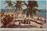 USA - Beach Scene In Miami, Florida FL - 1960´s Postcard - Miami