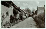 SOMERSET - CHEDINGTON VILLAGE No. 7  Som163 - Altri & Non Classificati