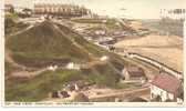 Cat Nab From Huntcliff  Saltburn By The Sea - To Identify