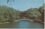 CANADA - ONTARIO - TORONTO - CENTRE ISLAND - LAGOON And BRIDGE - 1958 - Toronto