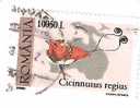 POSTA ROMANIA "CICINNURUS REGIUS" 10050 L. - OBLITERE - Collections