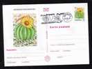 ROMANIA 1997 Entier Postaux Stationery POSTCARD,with Cactusses,cactus. - Cactusses