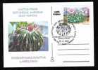 ROMANIA 2005 Entier Postaux Stationery POSTCARD,with Cactusses,cactus. - Cactusses