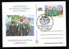 ROMANIA 2005 Entier Postaux Stationery POSTCARD,with Cactusses,cactus. - Cactus