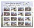 Territorio Antartico Britannico - Foglietto Nuovo:  Balene Protette WWF - Unused Stamps