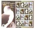South Georgia - Foglietto Nuovo:  Albatros WWF - Albatros & Stormvogels