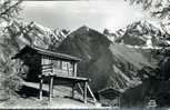 Chalets Sur Pilotis Et Pointe Des Marcellettes (alt 2910 M) - Saint-Vérand