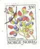 TIMBRE NORVEGE 1995 "Baies Forestières" - Used Stamps