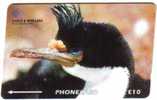 FALKLAND ISLANDS  10 L KING CORMORANT  BIRD BIRDS GPT CODE:229CFKA  READ DESCRIPTION !! - Falklandeilanden