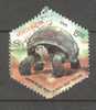 India 2008   15.00 (R) Aldabra Giant Tortoise 6-sided Stamp - Oblitérés