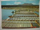 3653 JANUBIO SALINAS LANZAROTE  CANARIAS CANARY ISLANDS POSTAL AÑOS 1970 MIRA OTRAS SIMILARES EN MI TIENDA - Lanzarote