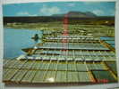 3645 JANUBIO SALINAS LANZAROTE  CANARIAS CANARY ISLANDS POSTAL AÑOS 1970 MIRA OTRAS SIMILARES EN MI TIENDA - Lanzarote