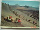 3644 CAMEL LANZAROTE CANARIAS CANARY ISLANDS POSTAL AÑOS 1970 MIRA OTRAS SIMILARES EN MI TIENDA - Lanzarote