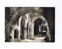 JUMIEGES (Ruines De L'Abbaye) - Jumieges