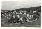 Suisse - Le Locle (NE) - Quartier Du Centenaire - Le Locle