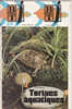 BIBLIOTHEQUE DE TRAVAIL BT 89 NOVEMBRE 1973 TORTUES AQUATIQUES ANIMAL ANIMAUX REPTILES - Animales