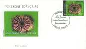 PJPF0663 Oursin 663 Polynesie Francaise 2002 FDC Premier Jour - Crostacei