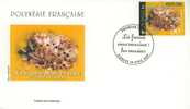 PJPF0665 Oursin 665 Polynesie Francaise 2002 FDC Premier Jour - Schalentiere