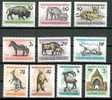 HUNGARY - 1961 BUDAPEST ZOO - V2254 - Unused Stamps