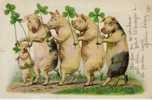 THEME -ANIMAUX  -  FAMILLE COCHONS + TREFLE PORTE BONHEUR - PRECURSEUR - Pigs
