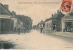 NEUILLÉ PONT PIERRE - Place Centrale Et Route De Chateau La Valliere - Neuillé-Pont-Pierre