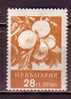 L1295 - BULGARIE BULGARIA Yv N°856 ** FRUIT - Unused Stamps