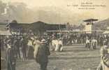 Delcampe - GAP ... HIPPODROME DU FORT MUTIN ... UN JOUR DE COURSES - Gap