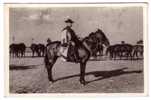 HUNGARY - Horse Herdsmanes Of Hortobagy, Old Postcard - Ohne Zuordnung