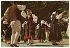 CROATIA - ISTRA / ISTRIA, Dance BALUN - Non Classés