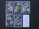 SAINT - MARIN  *  *  De  1957  "    FLEURS  Diverses   "     5  Val . - Unused Stamps