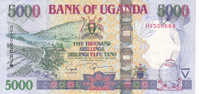 Billet Superbe De 5000 Shillings De 2009 D' OUGANDA ( UGANDA ) - Uganda