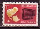 L0892 - BULGARIE BULGARIA Yv N°1516 - Used Stamps