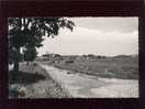 Chaillé Les Marais Vue Des Marais édit.artaud N° 3 - Chaille Les Marais