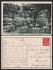 FRANCE BARBIZON LA CLEF D OR UN COIN DU RESTAURANT D ETE POSTCARD - D2663 - Barbizon