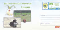 Romania Postal Stationery Cover 2010 Bird Oiseaux Passereaux Nature Protection Insect - Schwäne