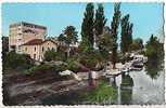 16 MANSLE - Les Rives De La Charente Au Pied De L Hotel Beau Rivage - Mansle