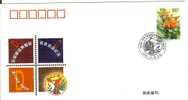 CHINA 2002 NATIONAL ELECTION OF BEST PHILATELIC ITEMS (2 SCANS) - Briefe U. Dokumente