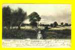 SUMMER  1906   LANDSCAPE   GREAT BRITTAIN UK UNITED KINGDOM WALES A63 - Autres & Non Classés