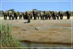 Elephant Eléphant Elefanten , Postal Stationery -- Articles Postaux -- Postsache F   (A24-005) - Elephants