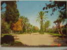 3972 PARQUE GENOVES CADIZ ANDALUCIA  POSTAL AÑOS 1960 MIRA OTRAS DE ESTA CIUDAD - Cádiz